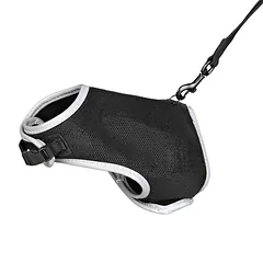 Trixie Soft Harness With Lead For Cats krūtinės diržas-liemenė su pavadėliu katėms, 24–42 cm, 1,20 m — 2 nuotrauka