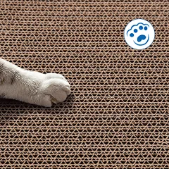 Nobleza draskymo lenta su katžole ir kamuoliukais žaislai katėms — 3 nuotrauka