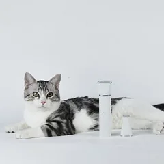 Petkit 2 viename kailio kirpimo mašinėlė Pro, Dideliems 26–45 kg — 2 nuotrauka