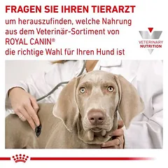 Royal Canin Veterinary Canine Urinary S/O Small Dog sausas maistas šunims, 1,5 - 2,9 kg — 5 nuotrauka