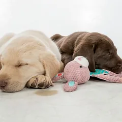 Trixie Junior žaislas šuniukams kiškis, Labai mažiems < 4 kg — 3 nuotrauka
