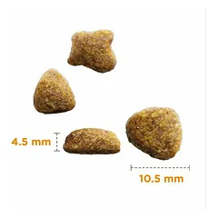 IAMS Cat Adult su vandenyno žuvimi, sausas maistas katėms 3 kg — 2 nuotrauka