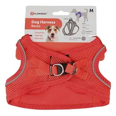 Flamingo Bento raudonas krūtų diržas šuniui, M dydis, 41-44cm — 2 nuotrauka
