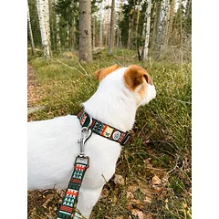 WOOLLY WOLF WOODLAND antkaklis šunims, 30–45 — 4 nuotrauka