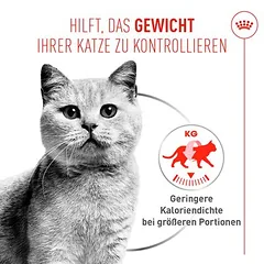 Royal Canin Light Weight Care AirLift Mousse drėgnas maistas katėms
