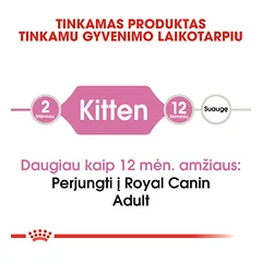 ROYAL CANIN FHN Kitten sausas maistas kačiukams 400 g — 2 nuotrauka