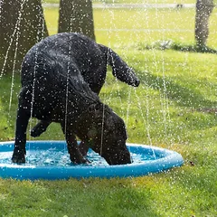 COOLPETS baseinas su fontano funkcija šunims, mėlynas — 3 nuotrauka