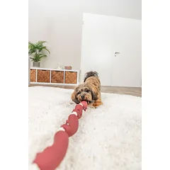 Trixie žaislas Dešrelė su virve, vinilas, 75 cm parduotuvėje Petz.lt
