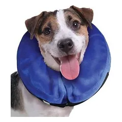 KONG Cloud Small - collar for dogs and cats