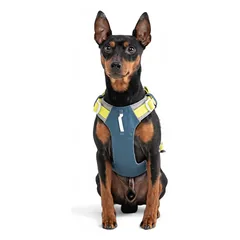 Woolly Wolf Alpha 360 Harness Deep Teal Mix  petnešos šunims iš perdirbto plastiko, M — 3 nuotrauka