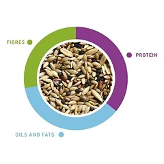 NaturalMix Canarini maistas kanarėlėms 1 kg — 2 nuotrauka