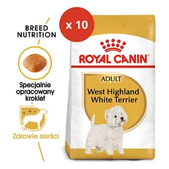 ROYAL CANIN Vakarų Škotijos baltųjų terjerų suaugusių šunų sausas ėdalas 1,5 kg x 10