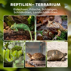 Stiklinis terariumas 50 × 30 × 35 cm — 4 nuotrauka